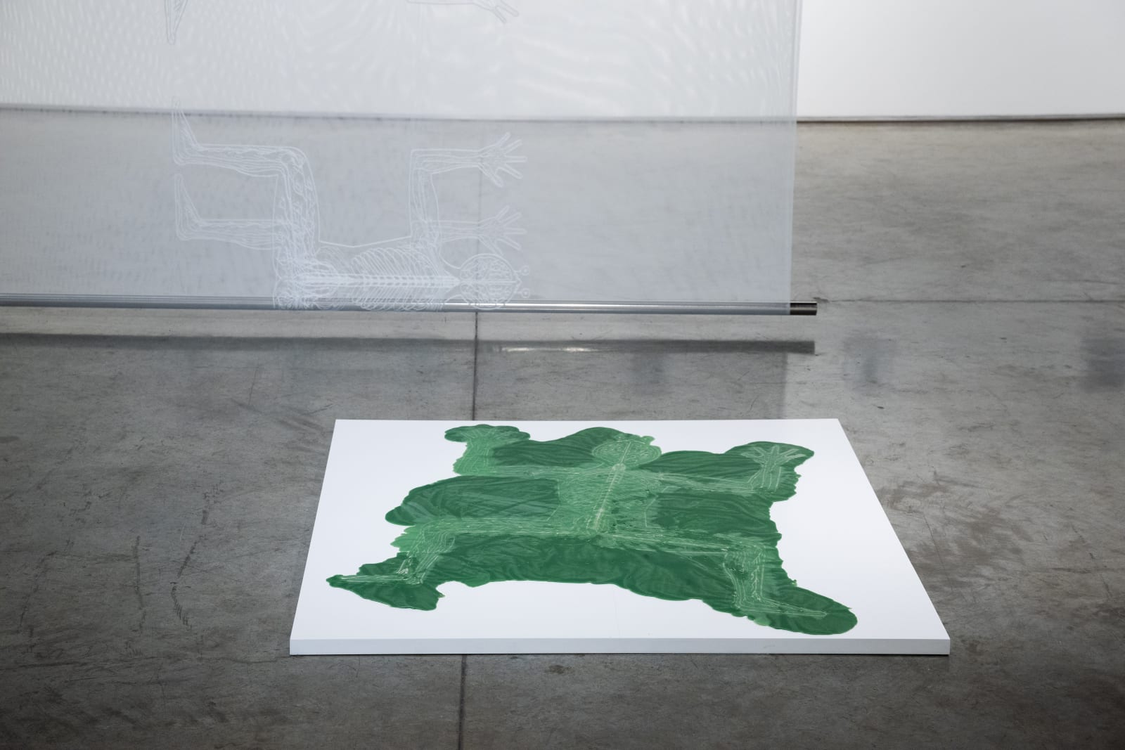 Adrian Pepe, Nervous Bodies, 2024