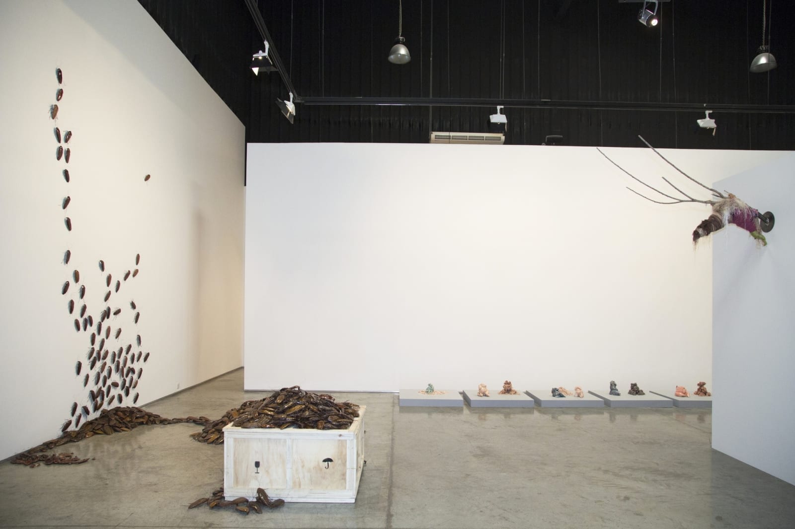 Bita Fayyazi, Rearranged, 2014