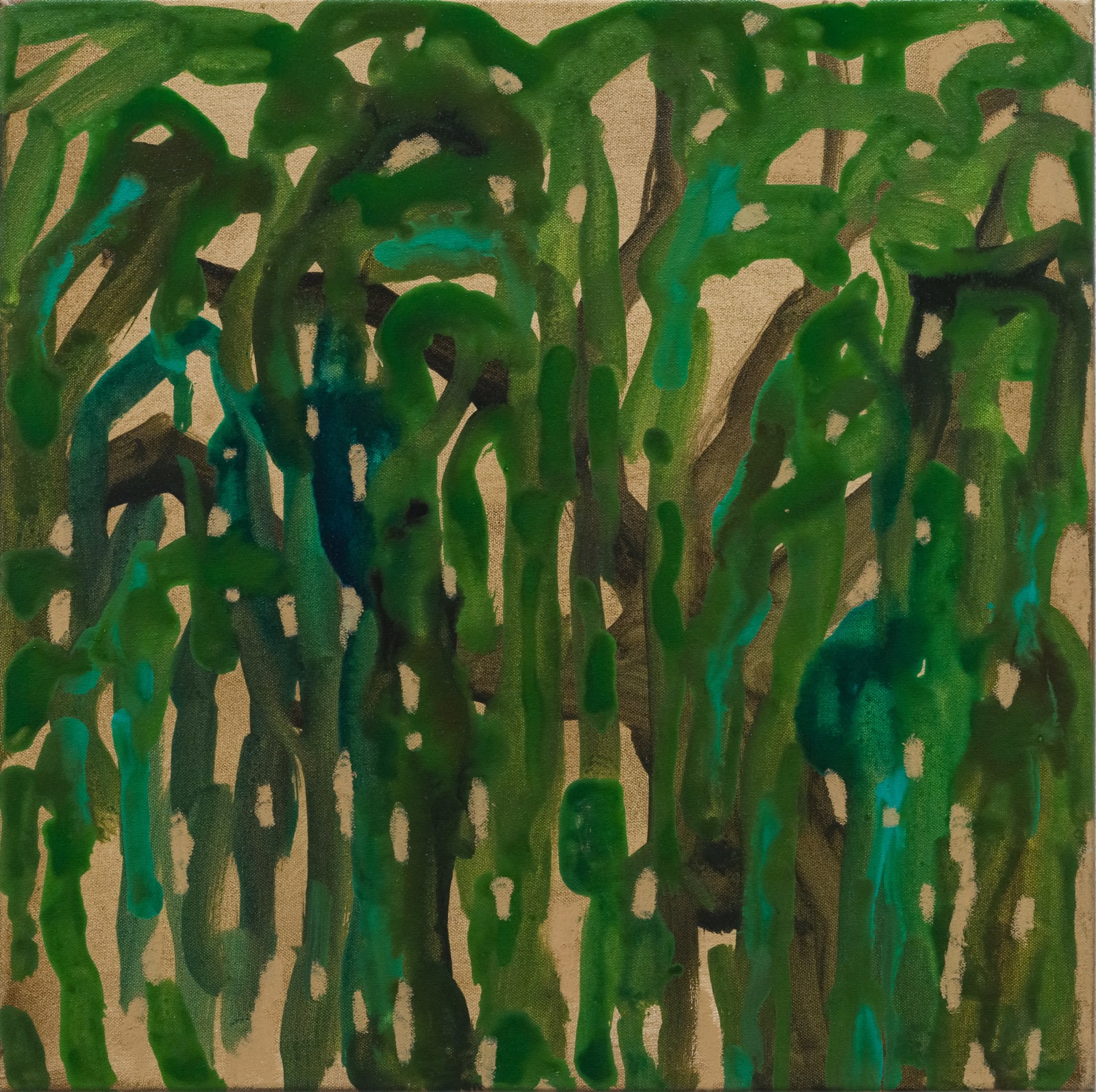 Alia Zaal, Memory of a Ghaf after the Rain 2, 2024