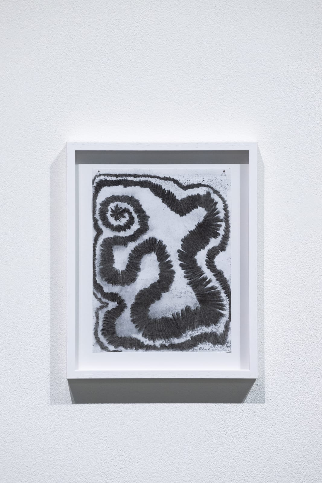Mohammad Alfaraj, Growing, 2024