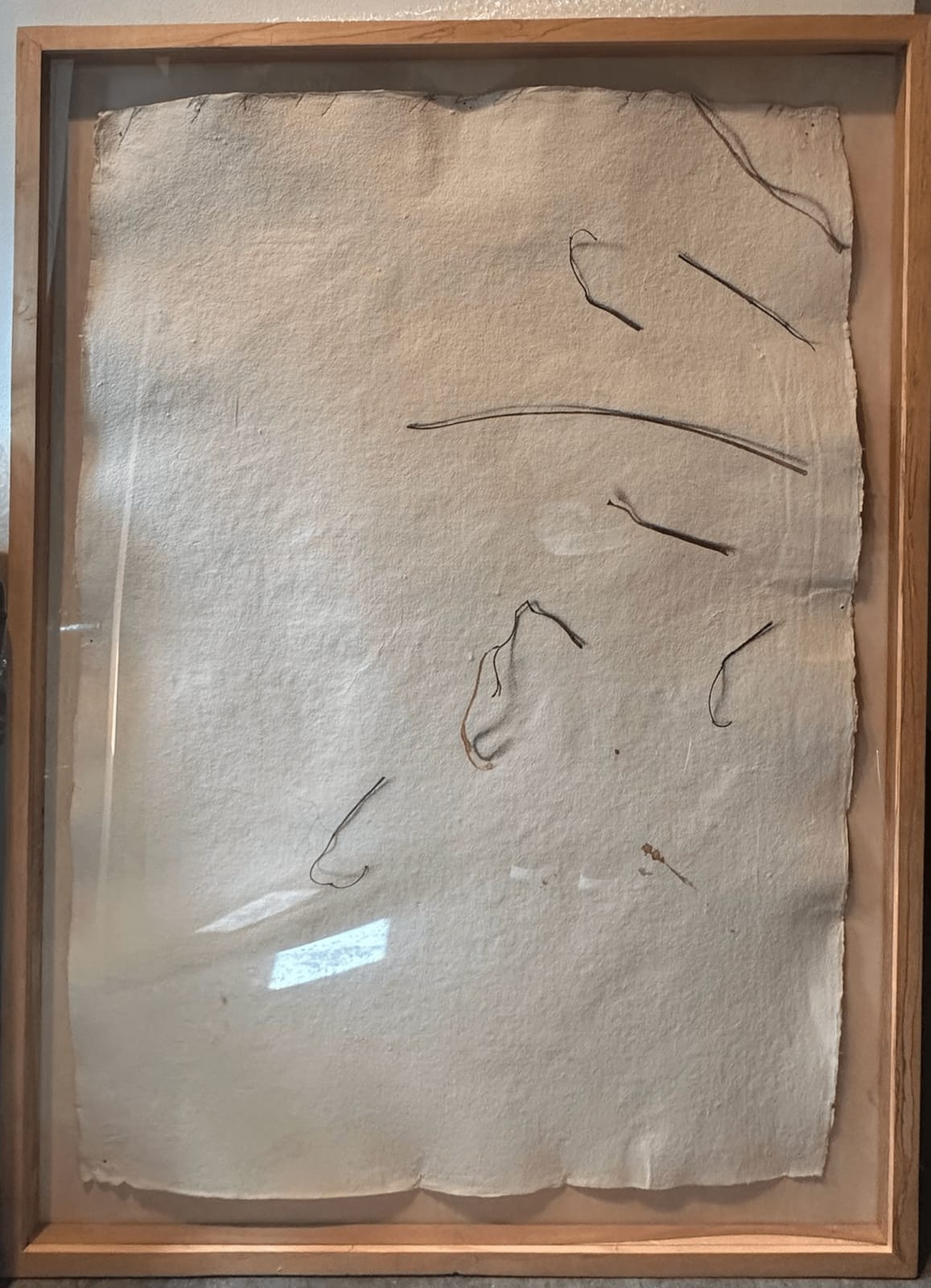 Fereydoun Ave, Twigs, 1999