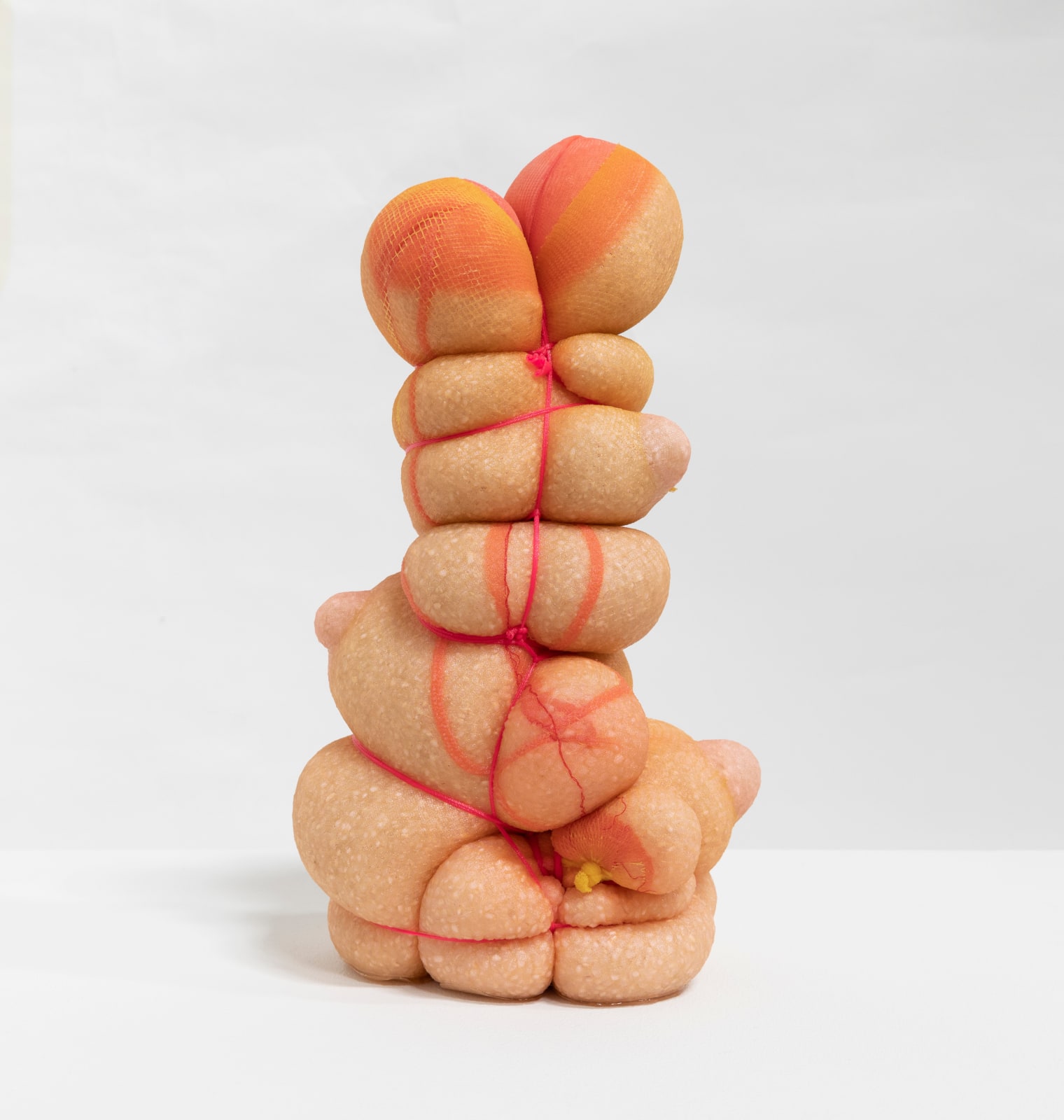 Hoda Tawakol, Mummy N°11, 2020