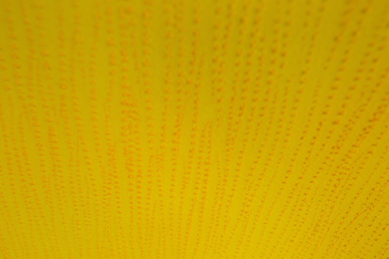 Mohammed Kazem, Acrylic on Scratched Paper, 2020