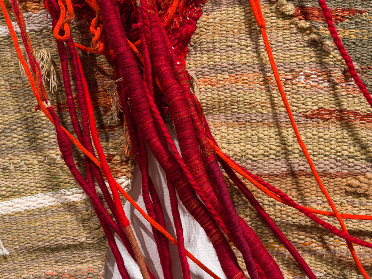 Fariba Boroufar, Hashti, 2024