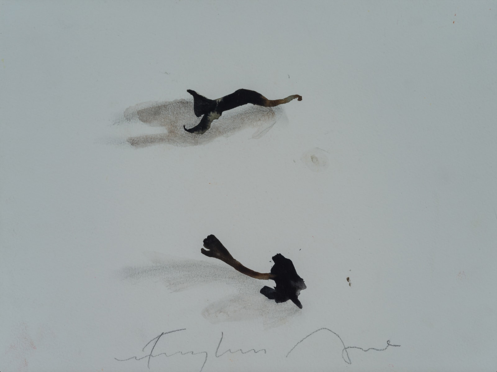 Fereydoun Ave, Trompette de la Mort, 2024