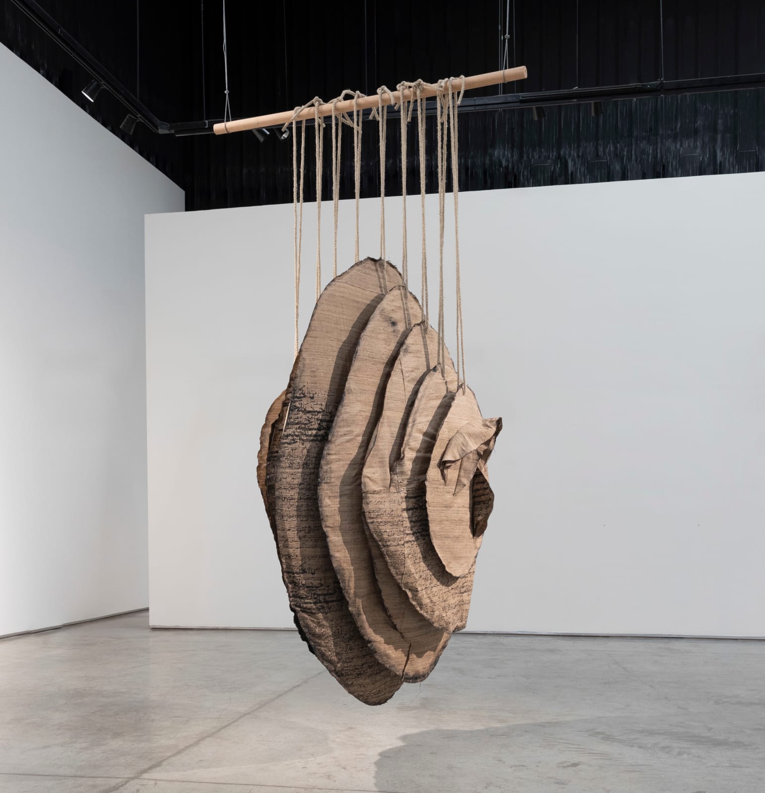 Manal AlDowayan, Ephemeral Witness, 2020