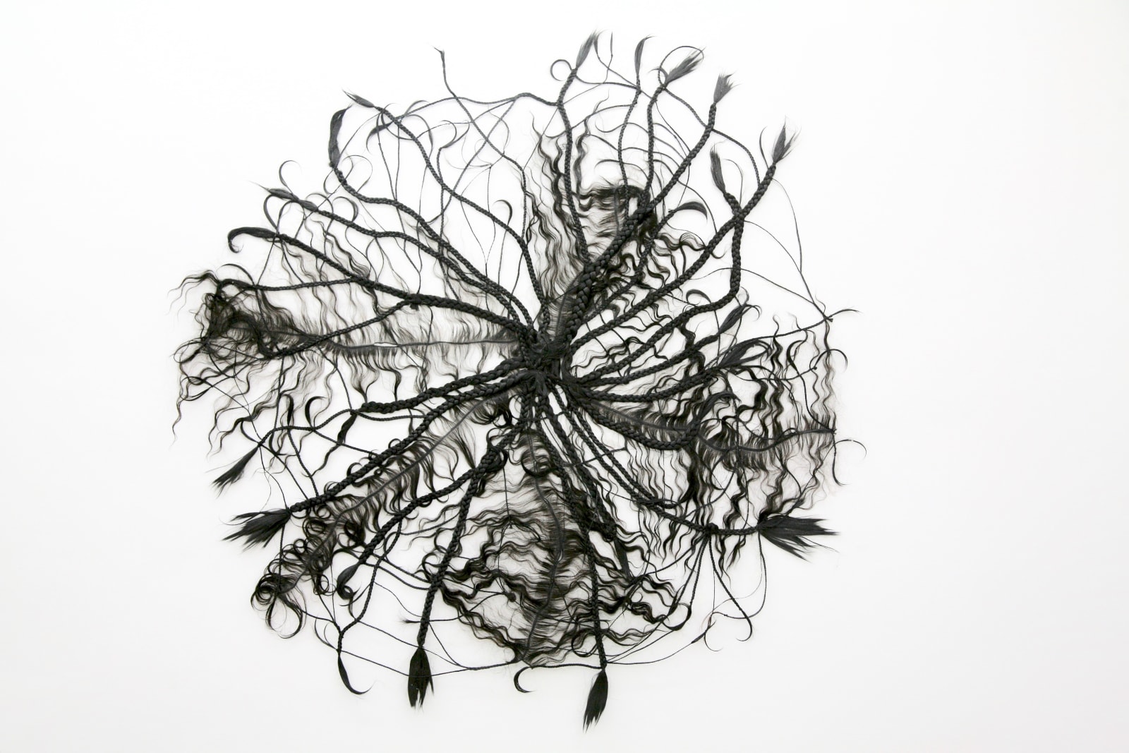 Hoda Tawakol, Web N°1, 2011