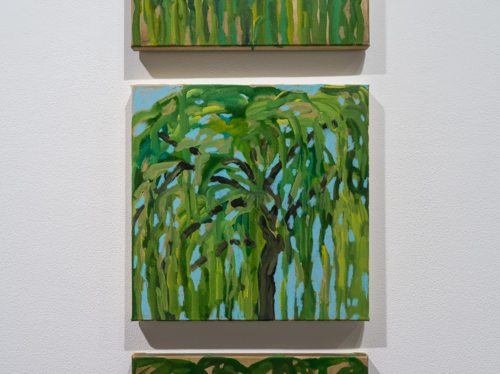 Alia Zaal, Memory of a Ghaf, 2024