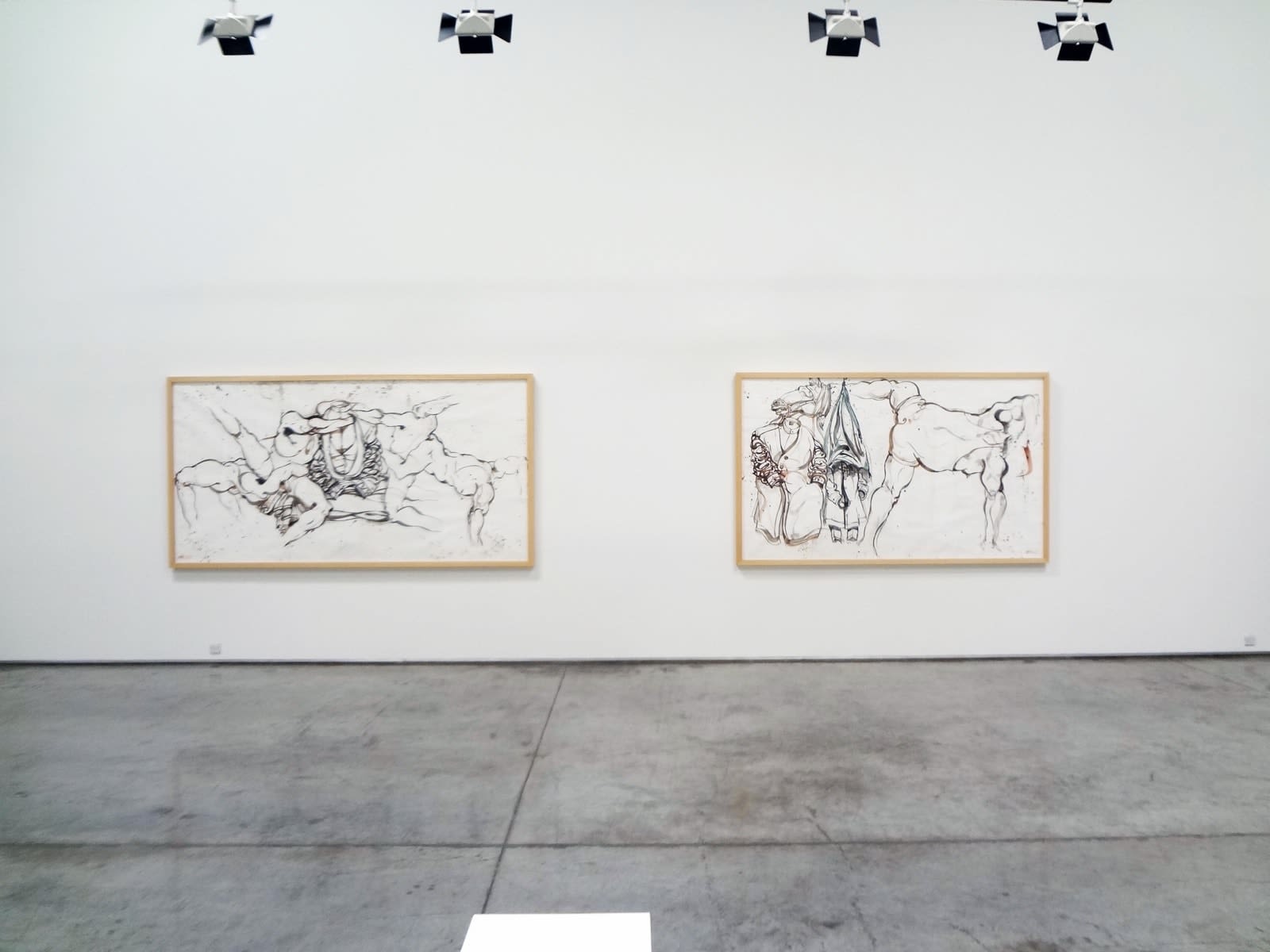 Ahmad Amin Nazar, Salto, 2012