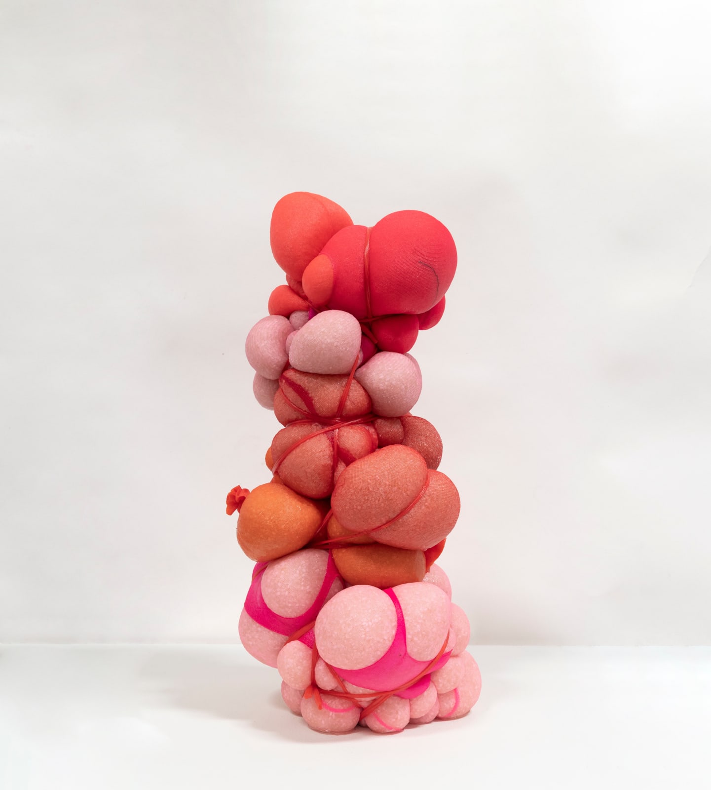 Hoda Tawakol, Mummy N°14, 2021