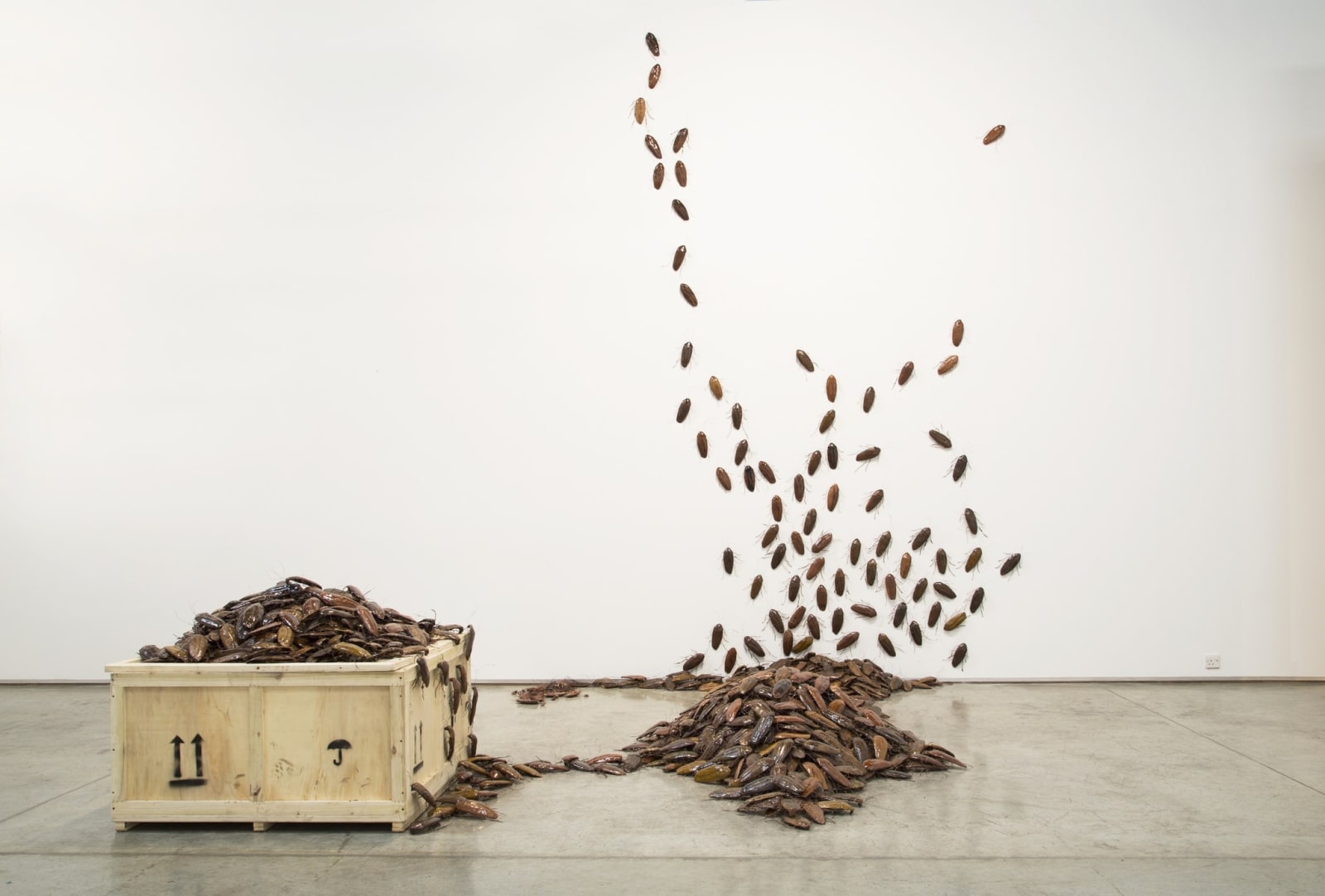 Bita Fayyazi, Cockroaches, 1998-1999
