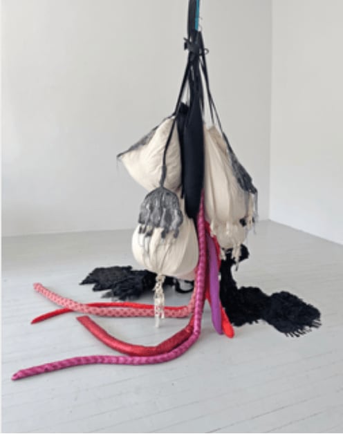 Hoda Tawakol, Lure N°30, 2024