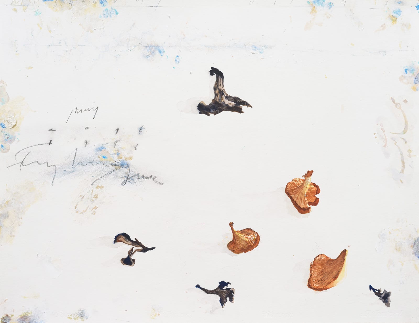 Fereydoun Ave, Mushroom, 2016