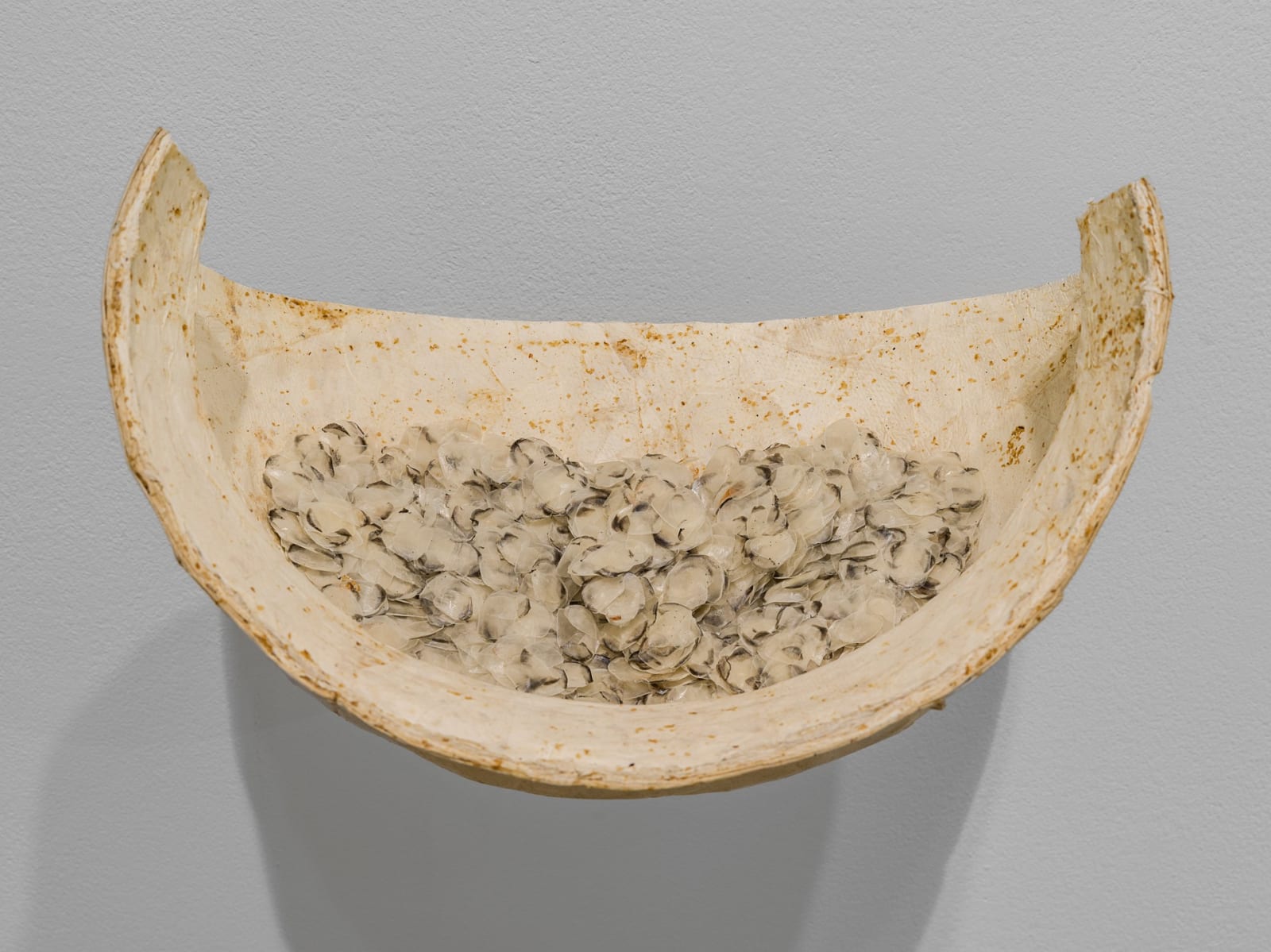 Richi Bhatia, Assemblage I, 2025