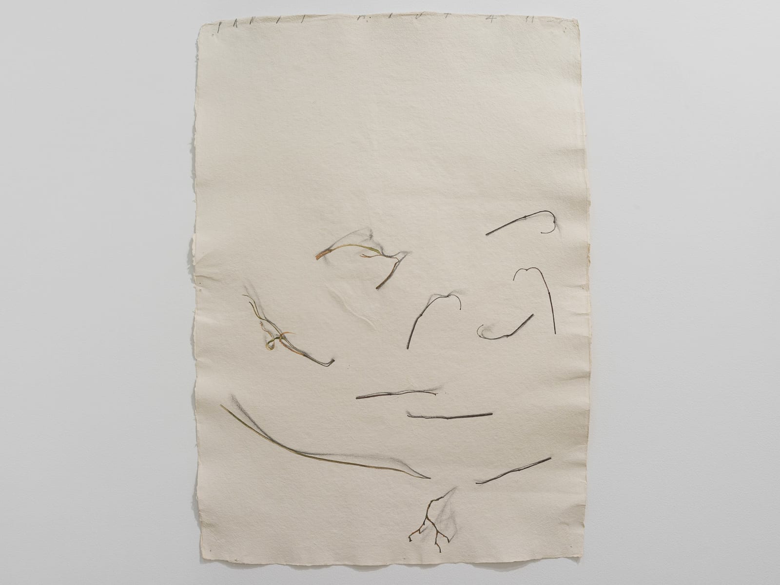 Fereydoun Ave, Twigs, 1999