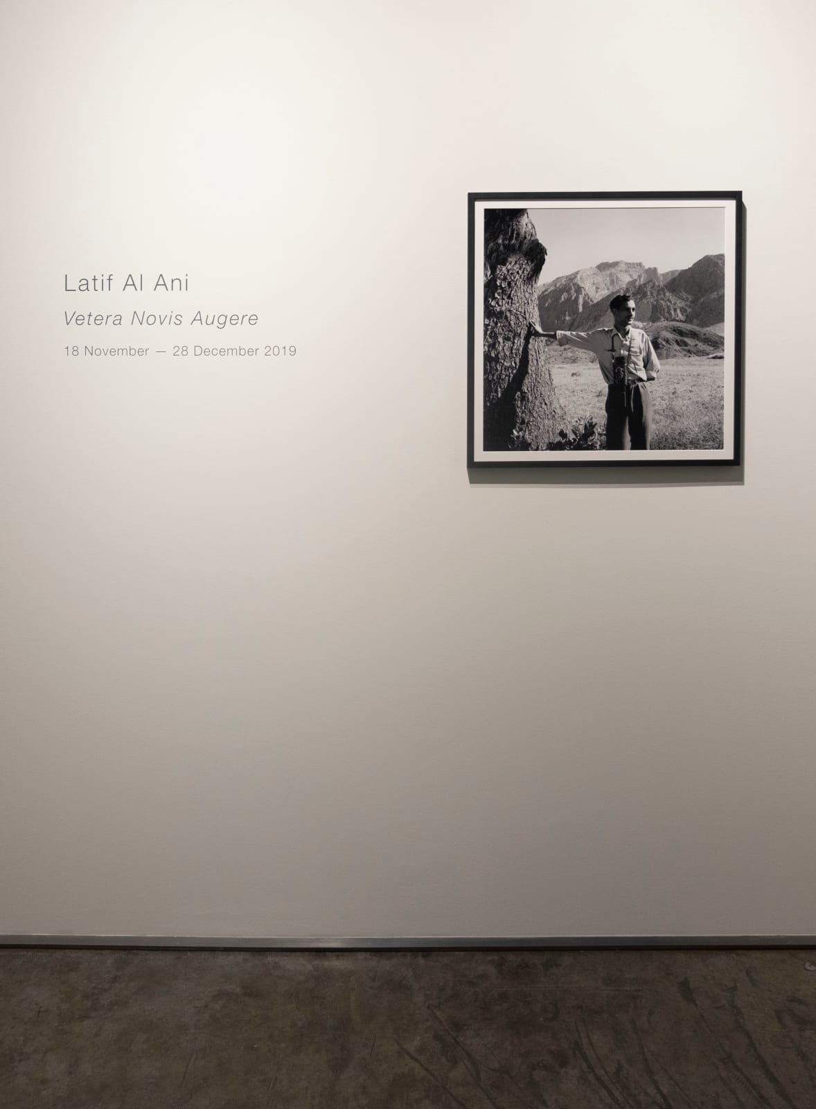 Latif Al Ani, Vetera Novis Augere, 2019