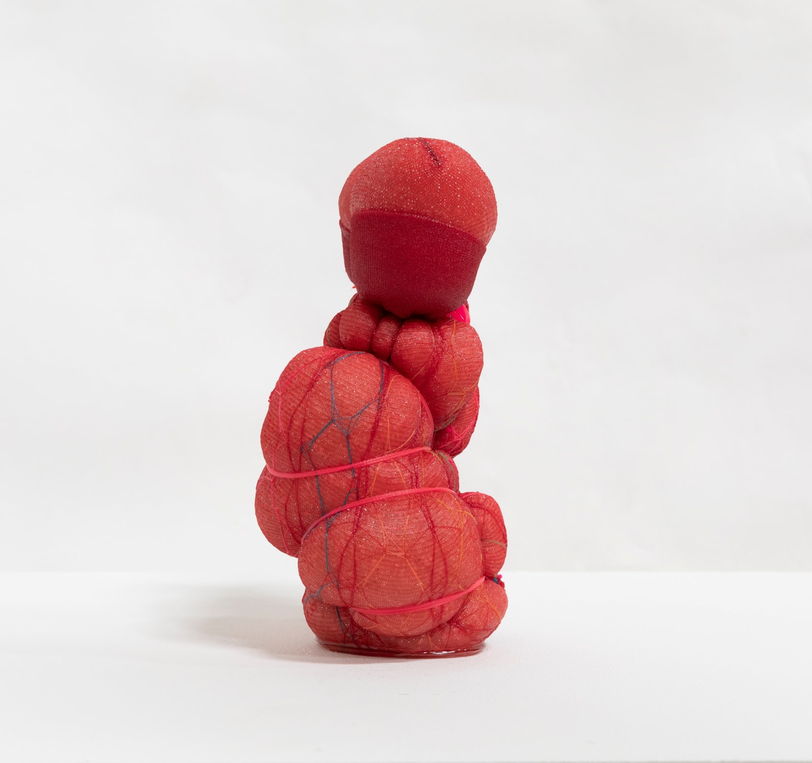 Hoda Tawakol, Mummy N°8, 2020