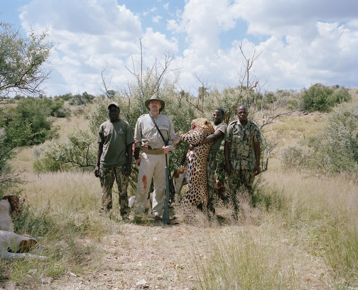 David Chancellor, Leopard Hunter # II, Namibia (Hunters series)