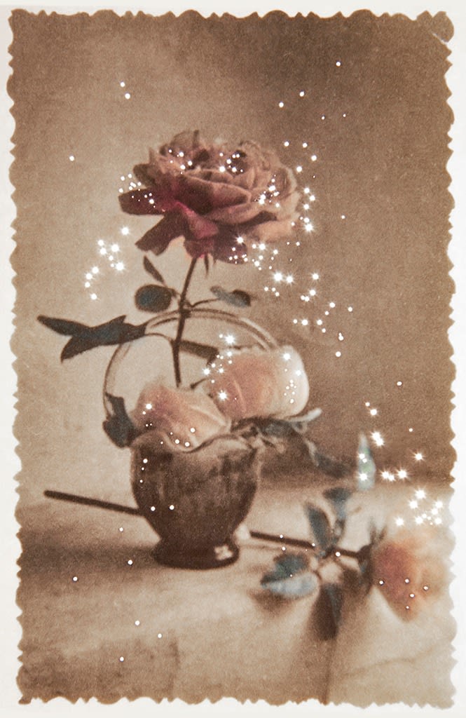 Amy Friend, Their Still Life