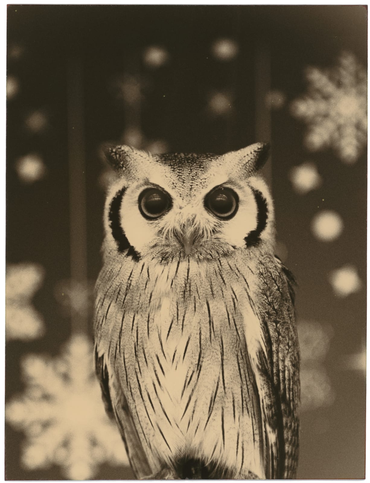 Yamamoto Masao, Kawa=Flow #1654