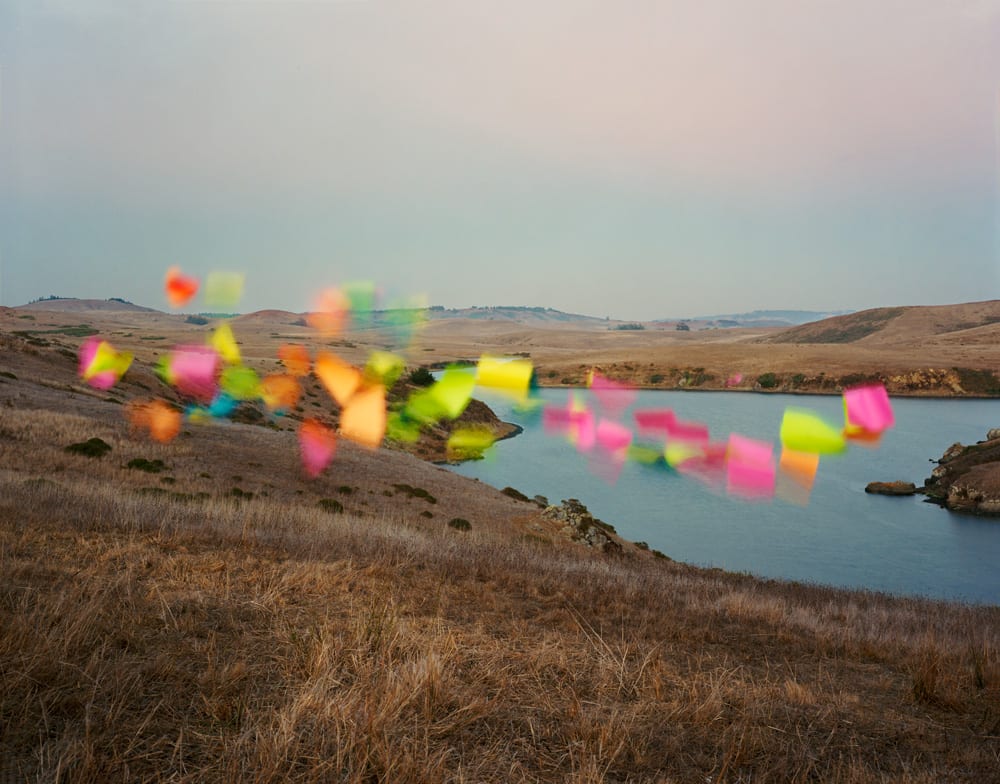 Thomas Jackson, File Folders no. 3, Bodega, California, 2017