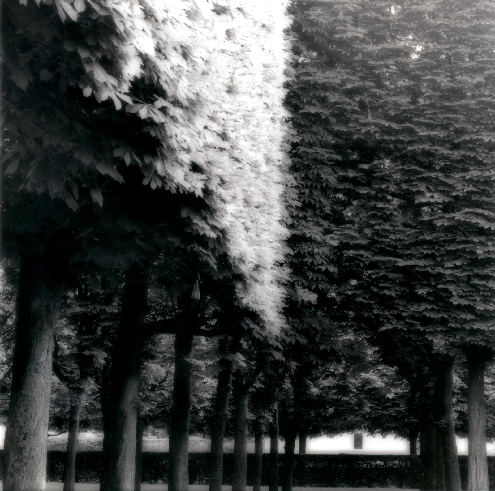 Lynn Geesaman, Parc de Sceaux, France (4-07-7-2), 2007