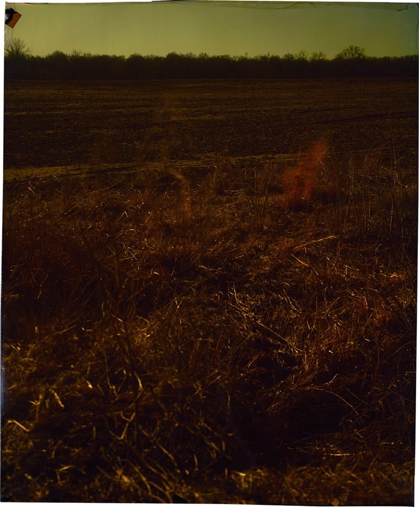 John Chiara, Cloverfield at Old Highway , 2014