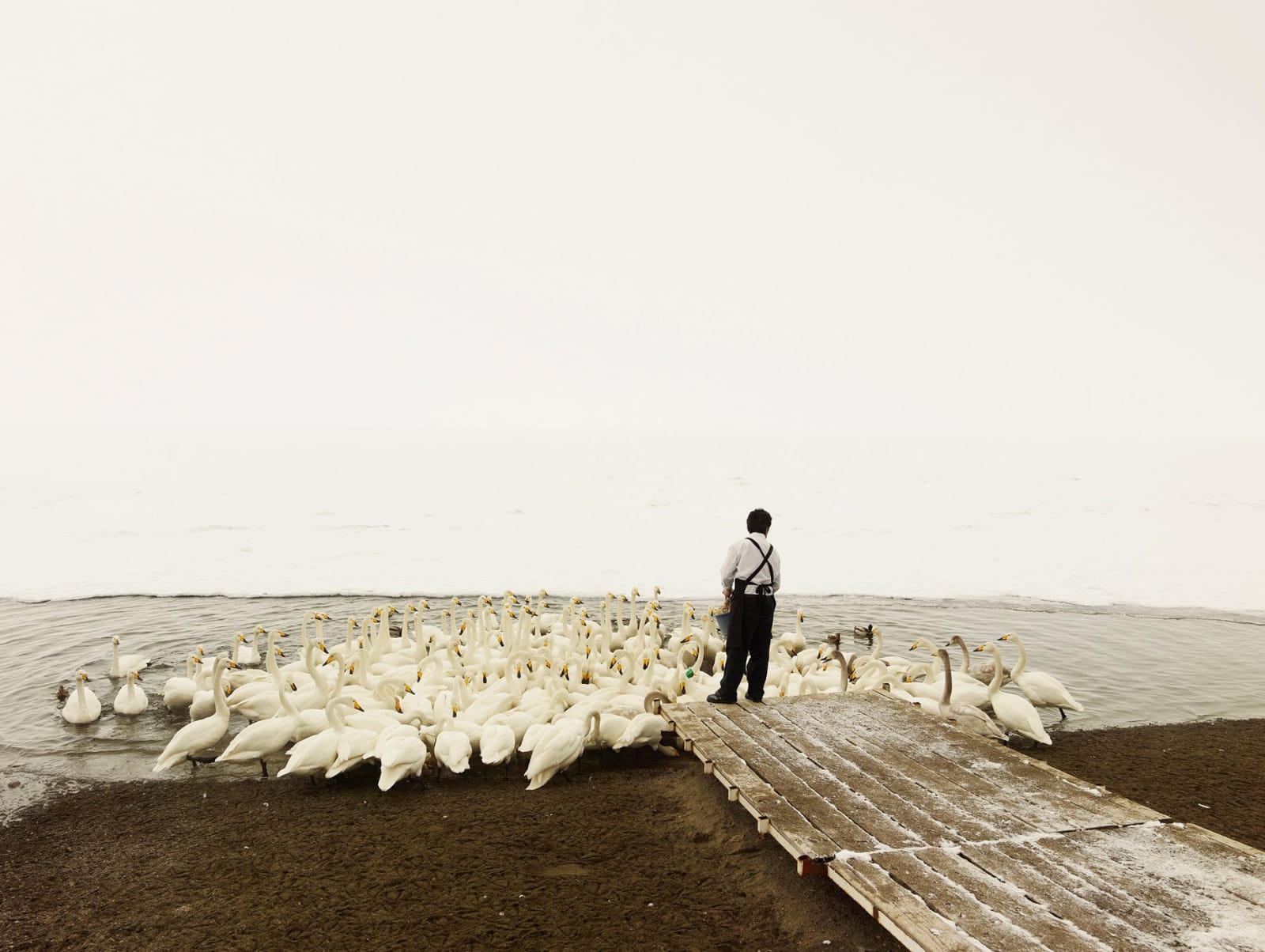 Josef Hoflehner, Happy Hour, Japan, 2012