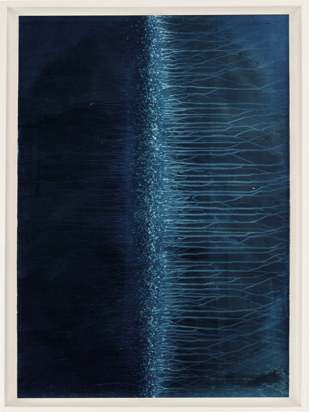 Meghann Riepenhoff, Ecotone #346 (Bainbridge Island, WA 03.11.18 + 03.17.18, Rain Falls in Every Direction), 2018