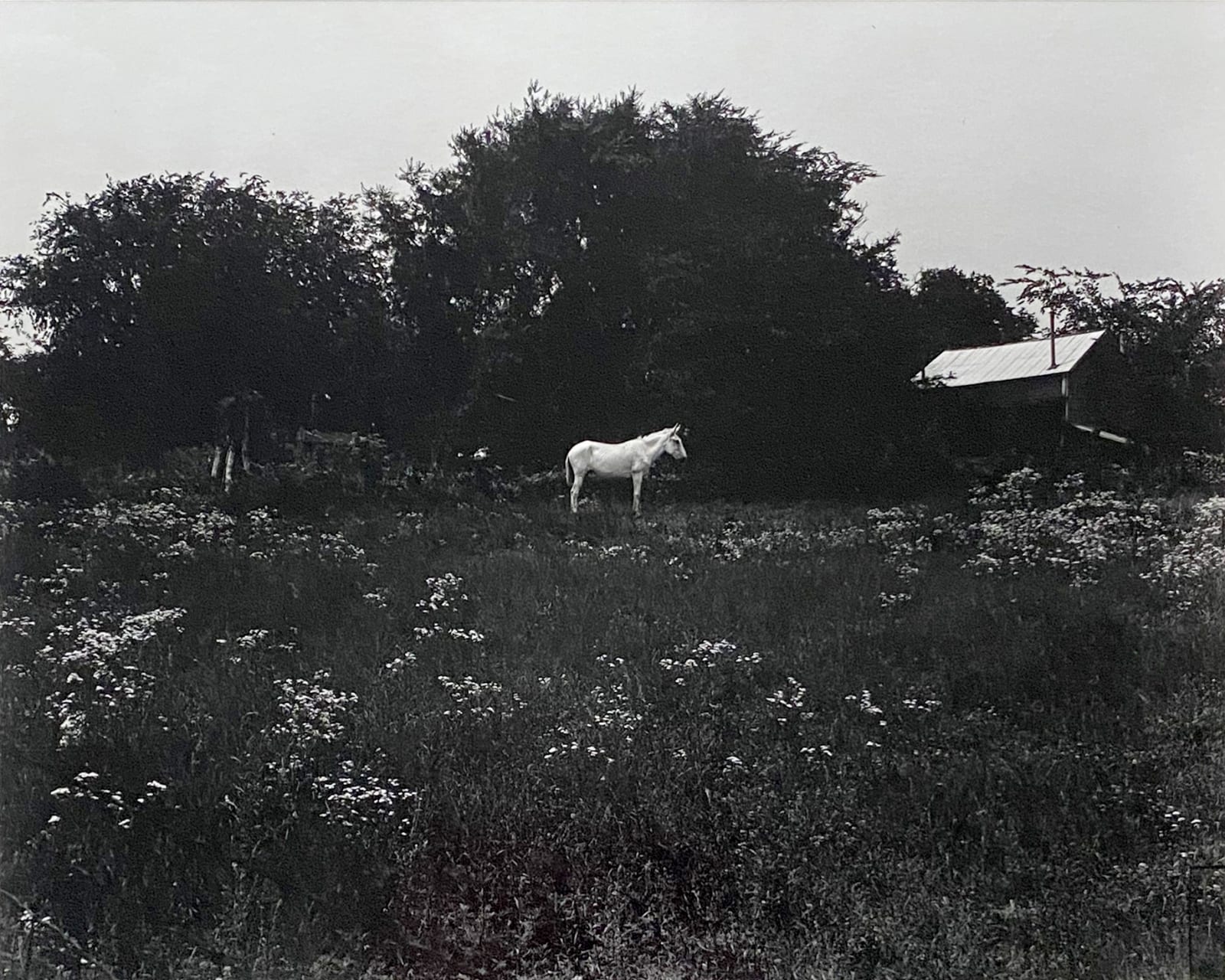 Emmet Gowin, Route 58, Virginia, June, 1965