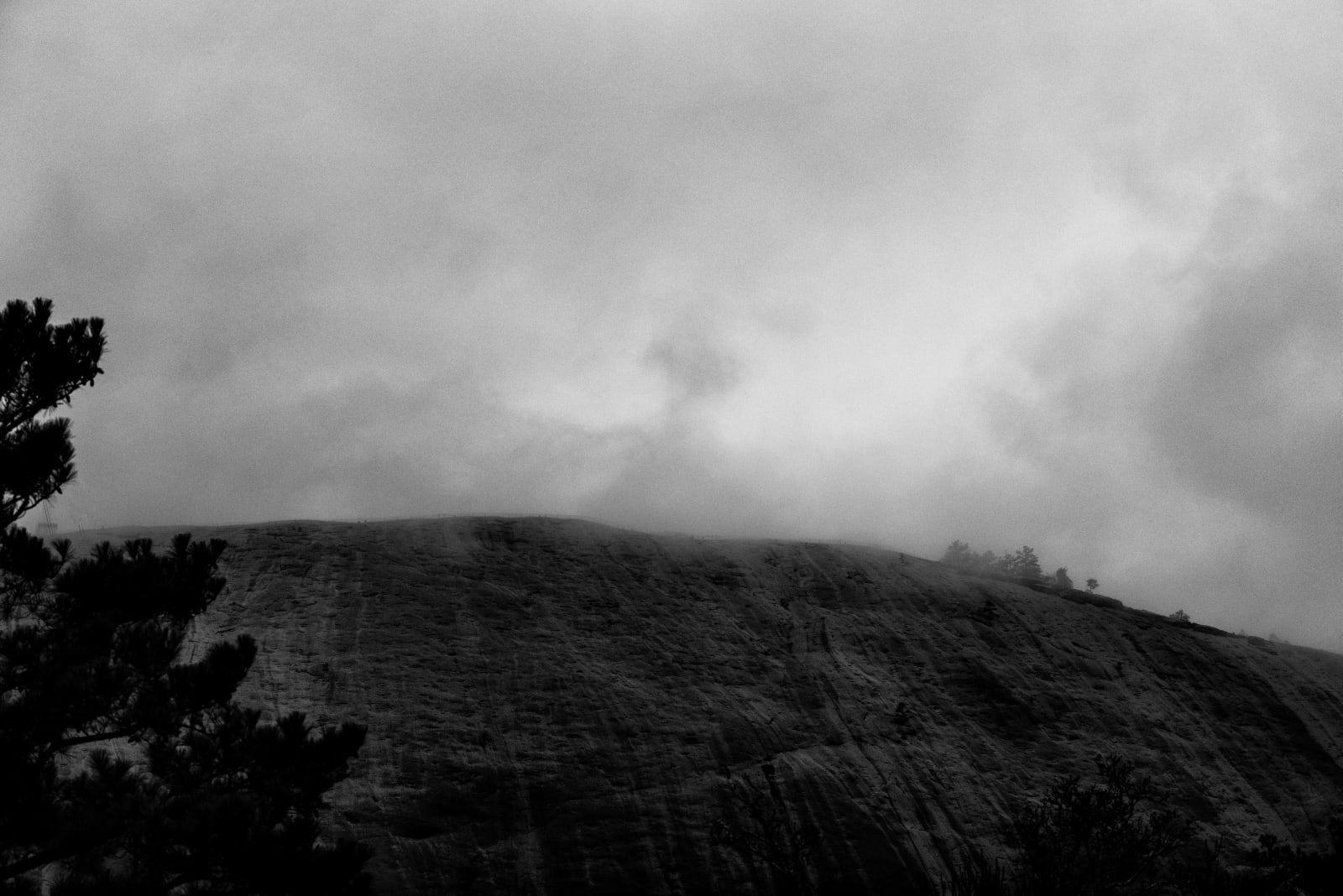 Sheila Pree Bright, Rituals, 2021