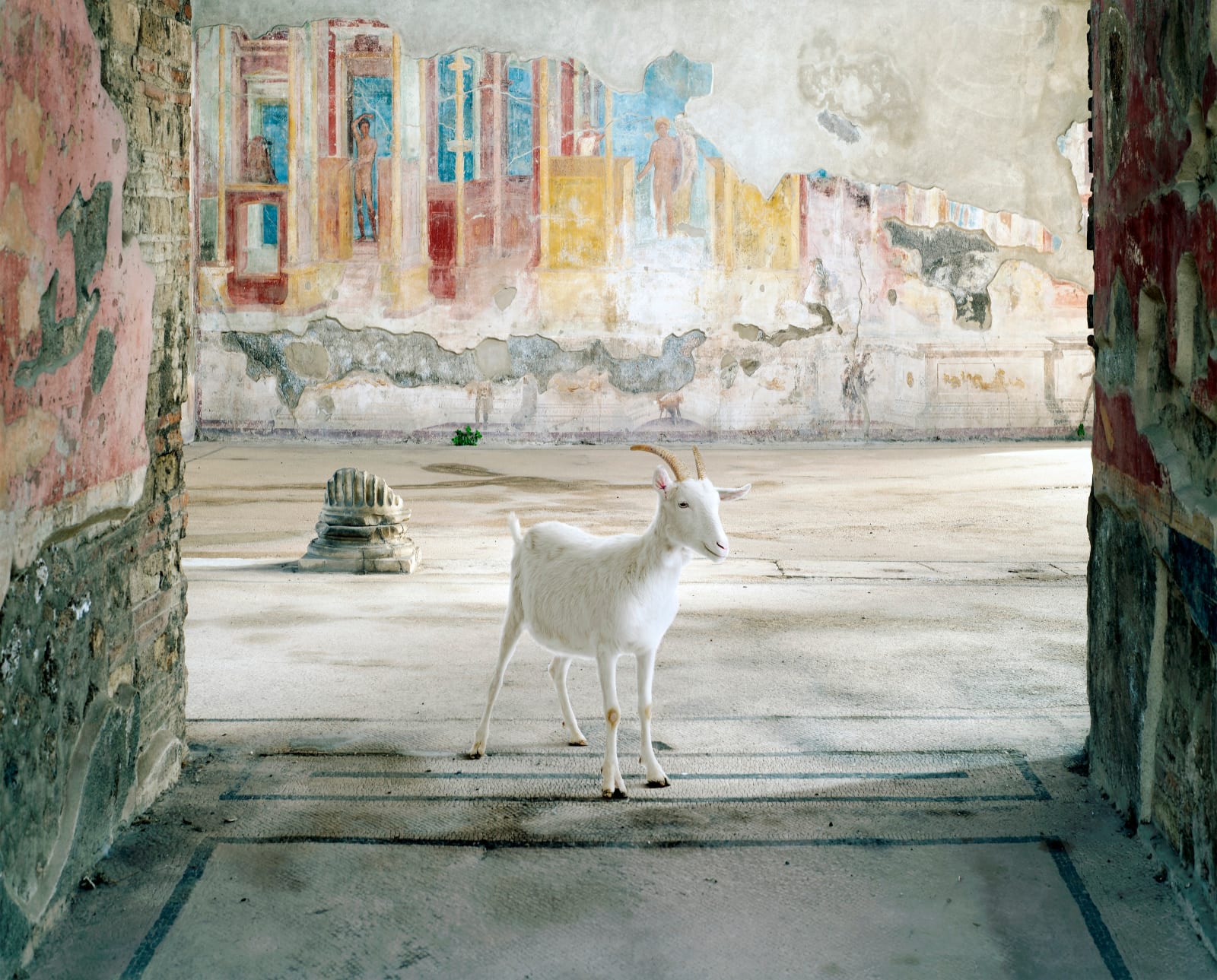 Karen Knorr, Pan’s Apparition, Gymnasium of the Luvenes, Pompeii, 2024