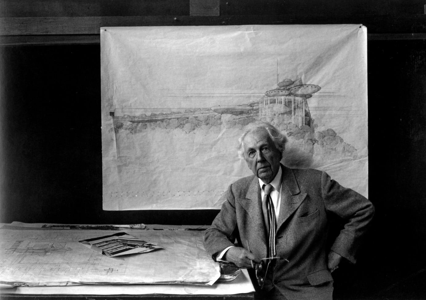 Arnold Newman, Frank Lloyd Wright, Wisconsin, 1947
