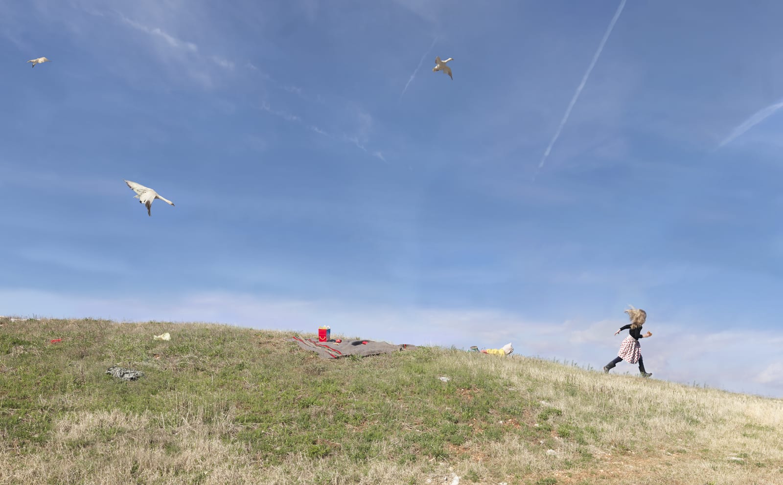 Julie Blackmon, Outing, 2019