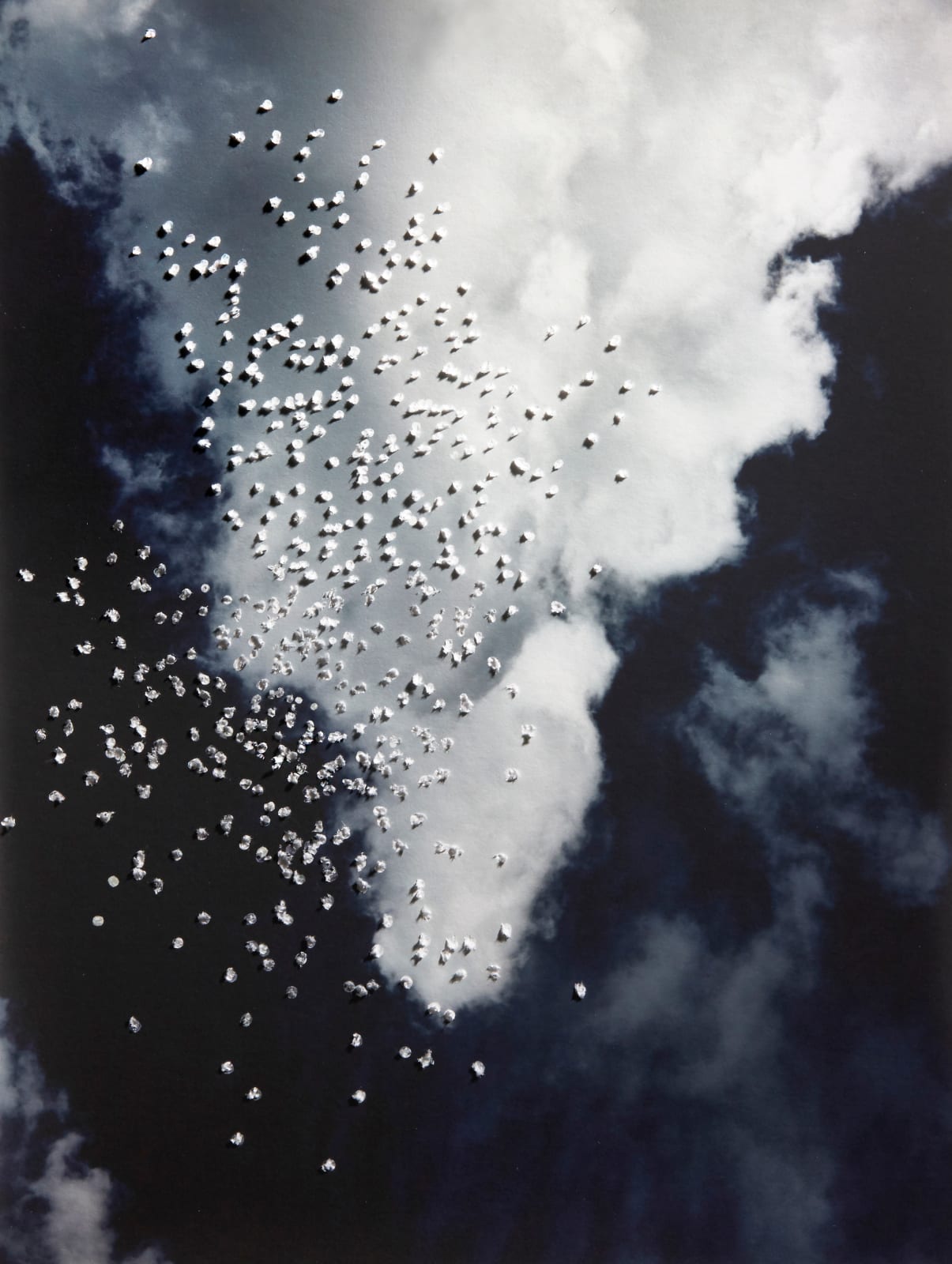 Tabitha Soren, Gates of Paradise, 2020