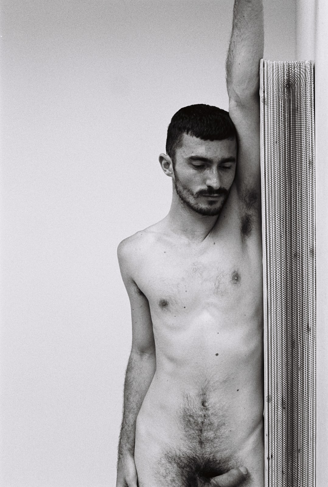 Michael Stipe, Alexandru Sentinel, 2014