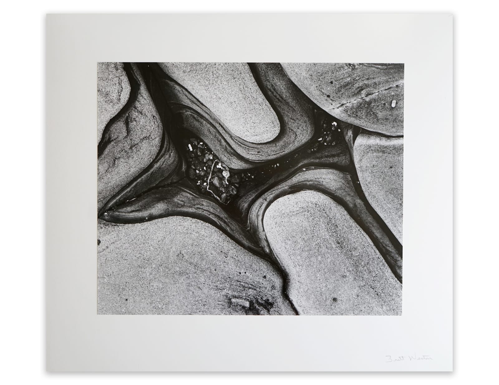 Brett Weston, Untitled