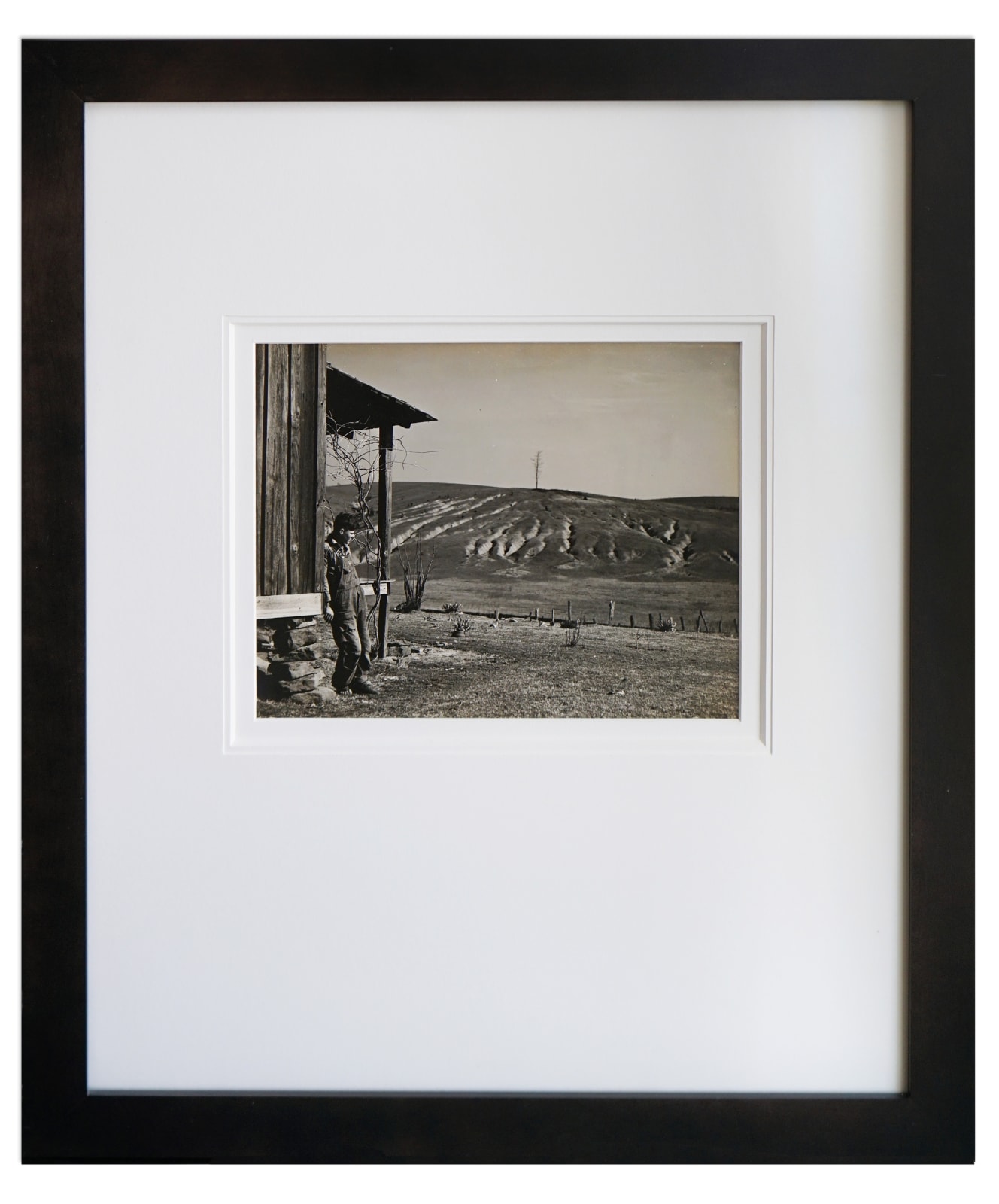 Arthur Rothstein, Eroded land on tenant's farm. Walker County, Alabama, 1937