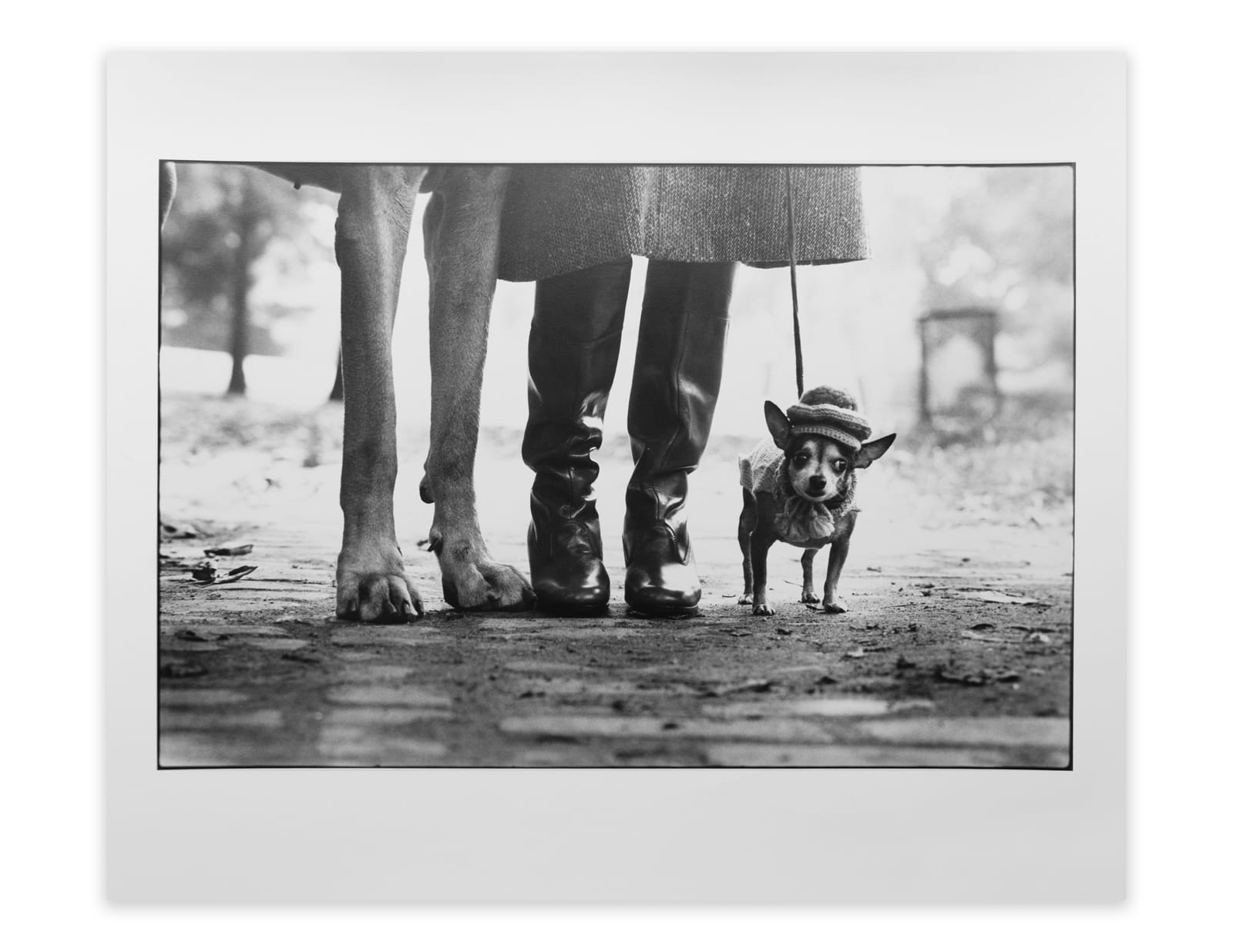 Elliott Erwitt, New York City, 1974