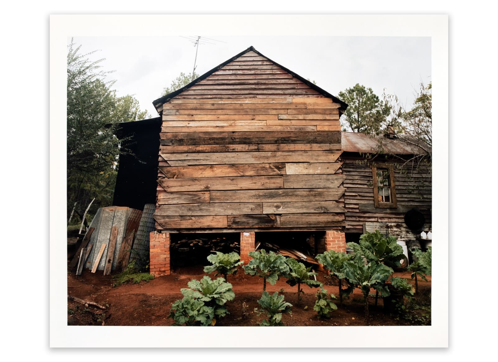 William Christenberry, Rear of House with Flowers, near Morgan Springs, Alabama, 1984