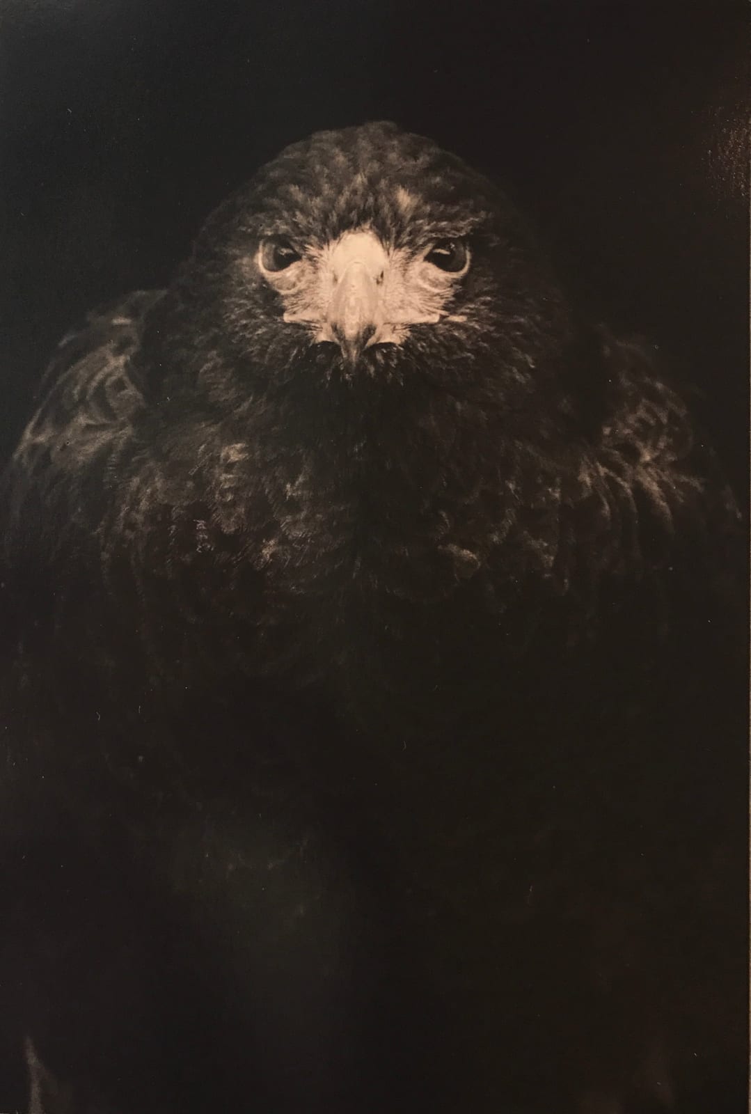 Yamamoto Masao, Kawa=Flow #1649, 2016