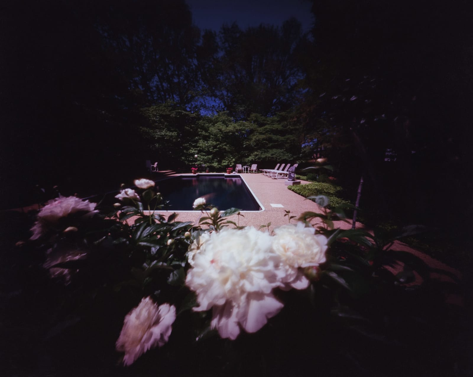 Willie Anne Wright, Richmond, Virginia: Jack B's Pool with Peonies, 1986