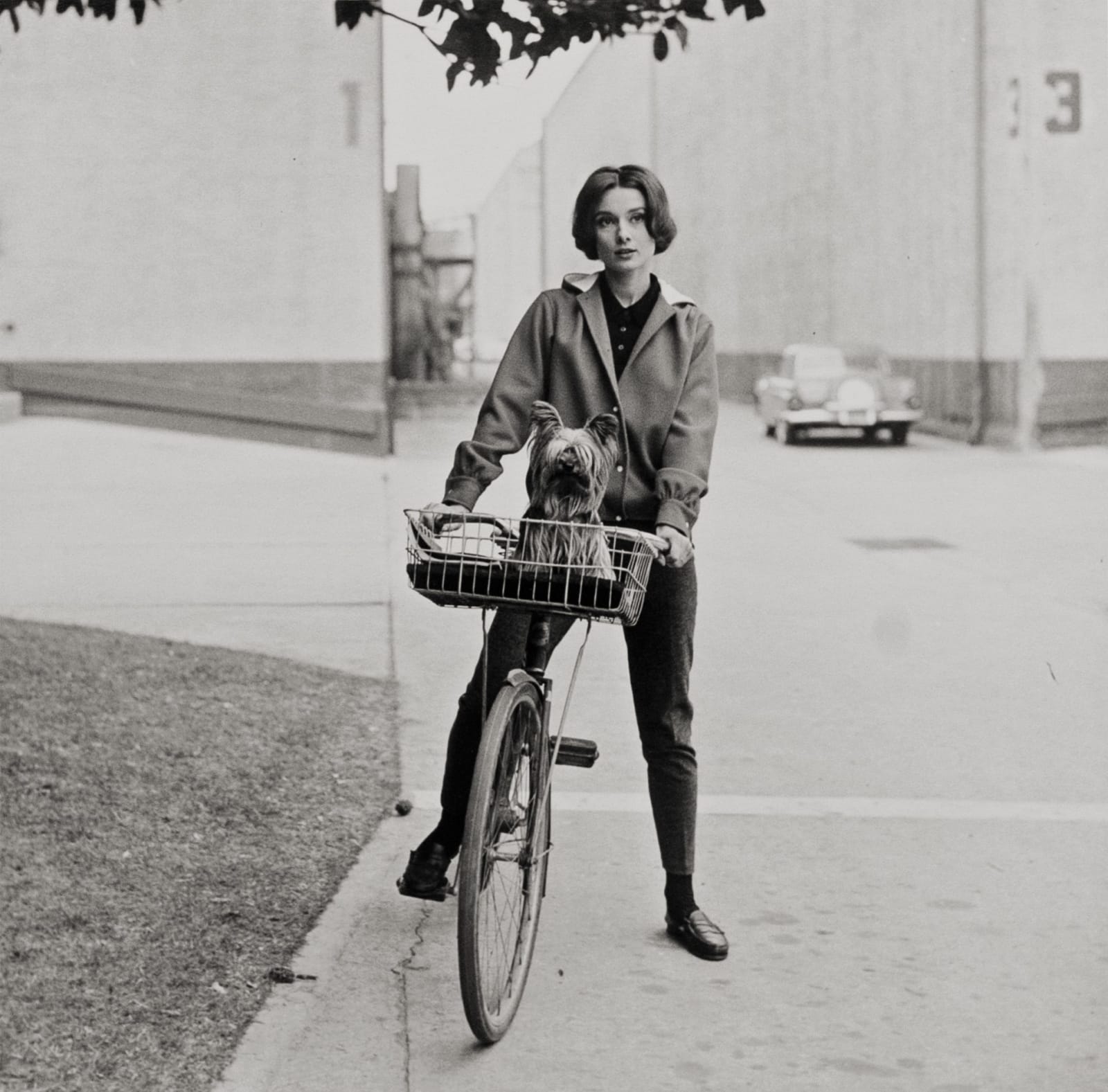 Sid Avery, Audrey Hepburn on Her Bike With Her Dog "Famous" at Paramount Studios, Los Angeles, CA, 1957