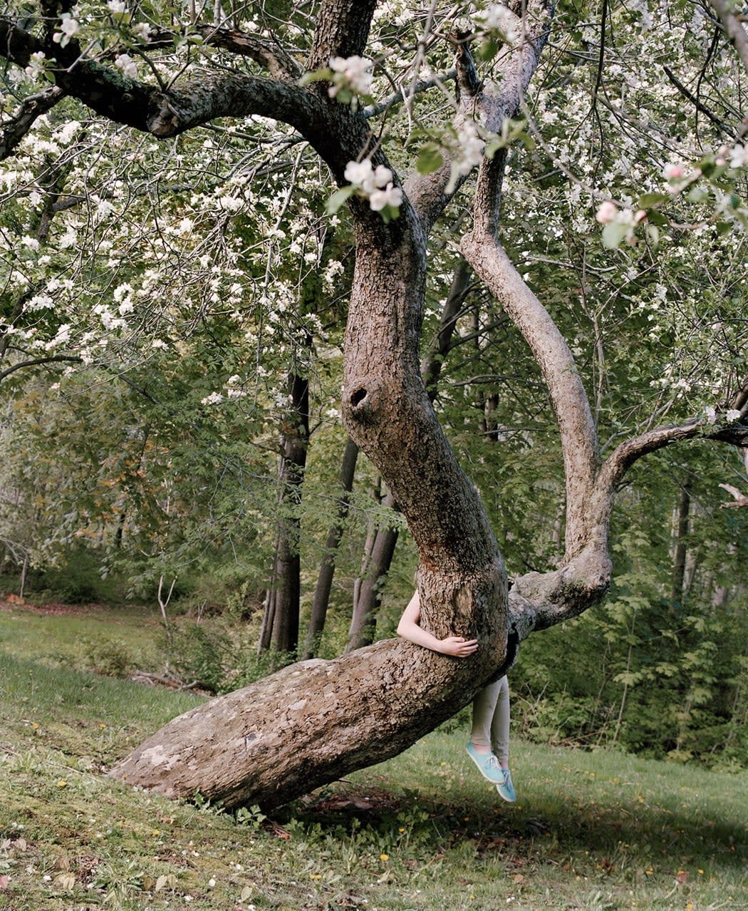 Jocelyn Lee, Riding the Apple Tree, 2016