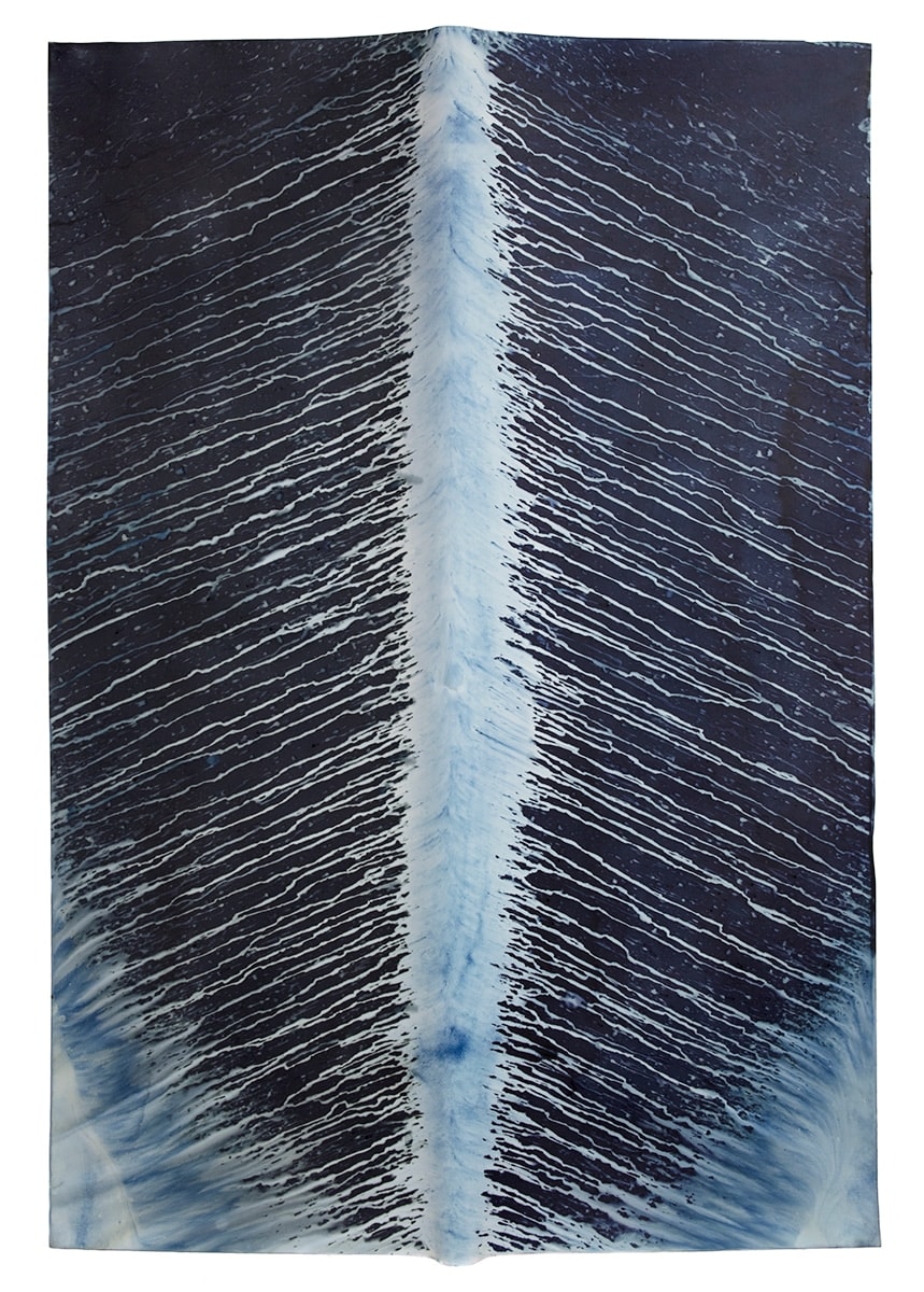 Meghann Riepenhoff, Ecotone #317 (Bainbridge Island, WA 02.21.18, Scattered , 2018