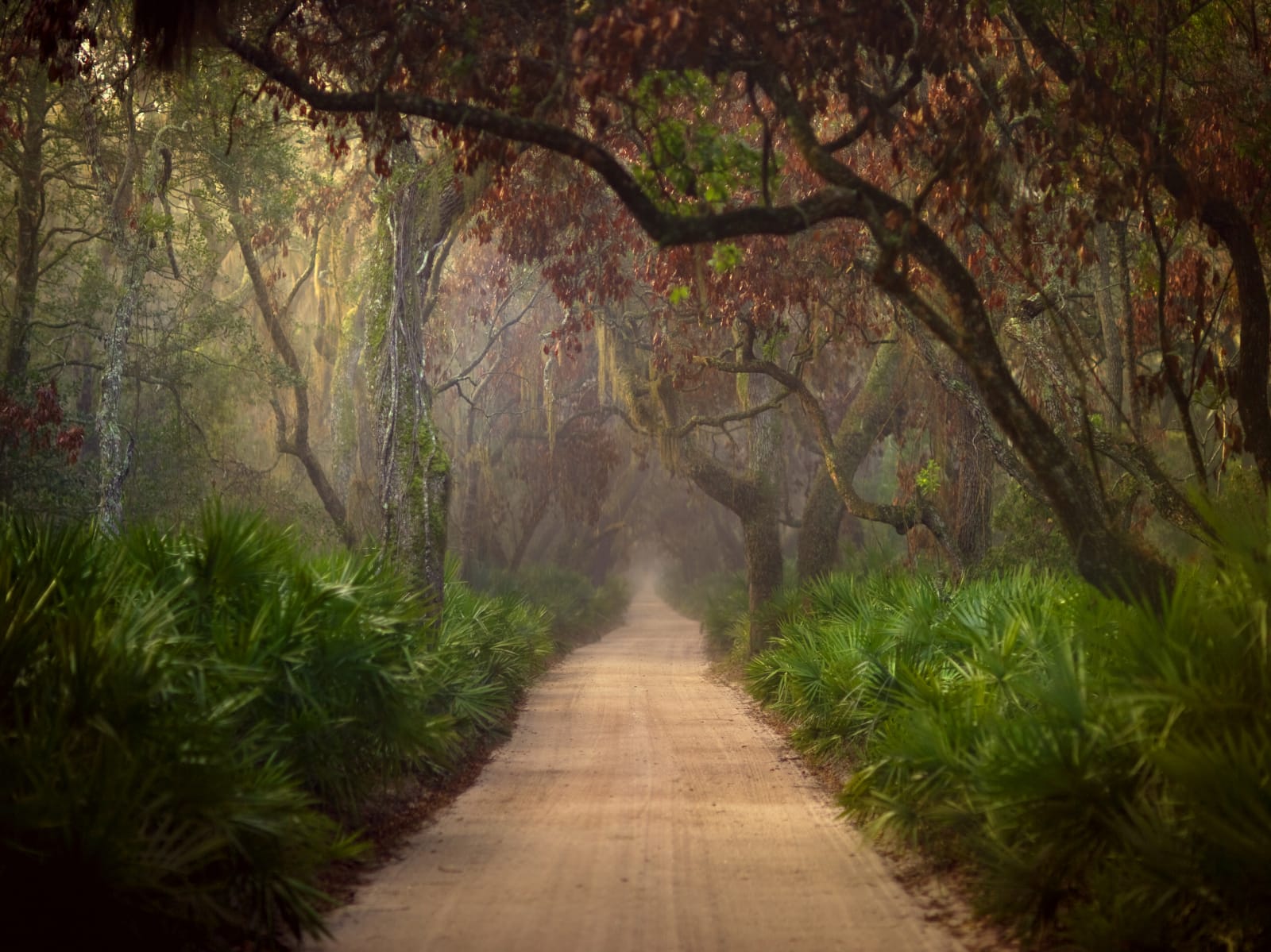 Jack Spencer, Cumberland 22, 2007