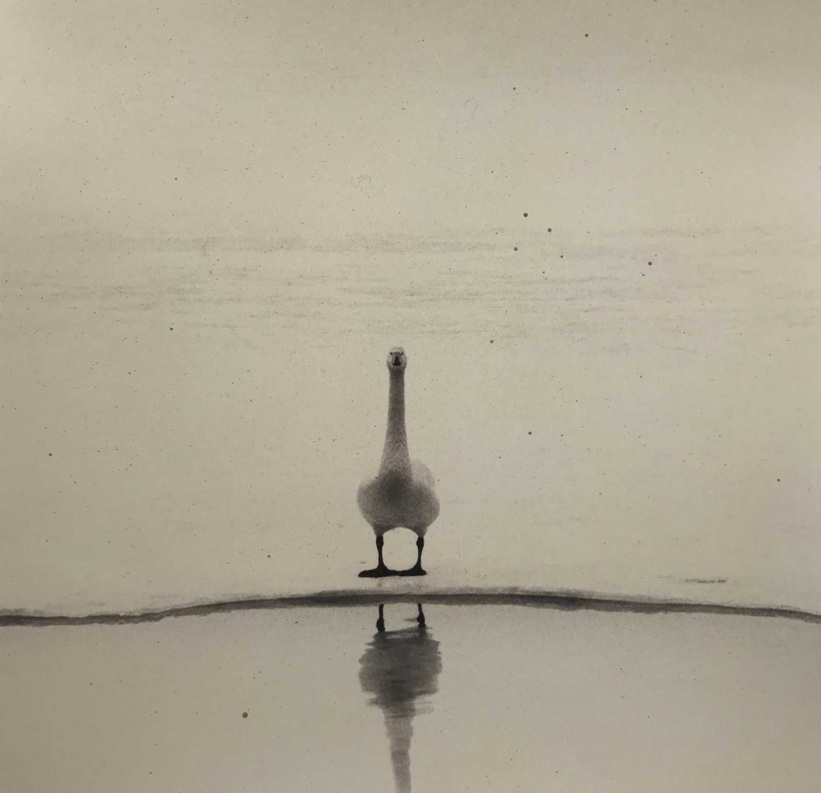 Yamamoto Masao, Kawa=Flow #1661, 2016