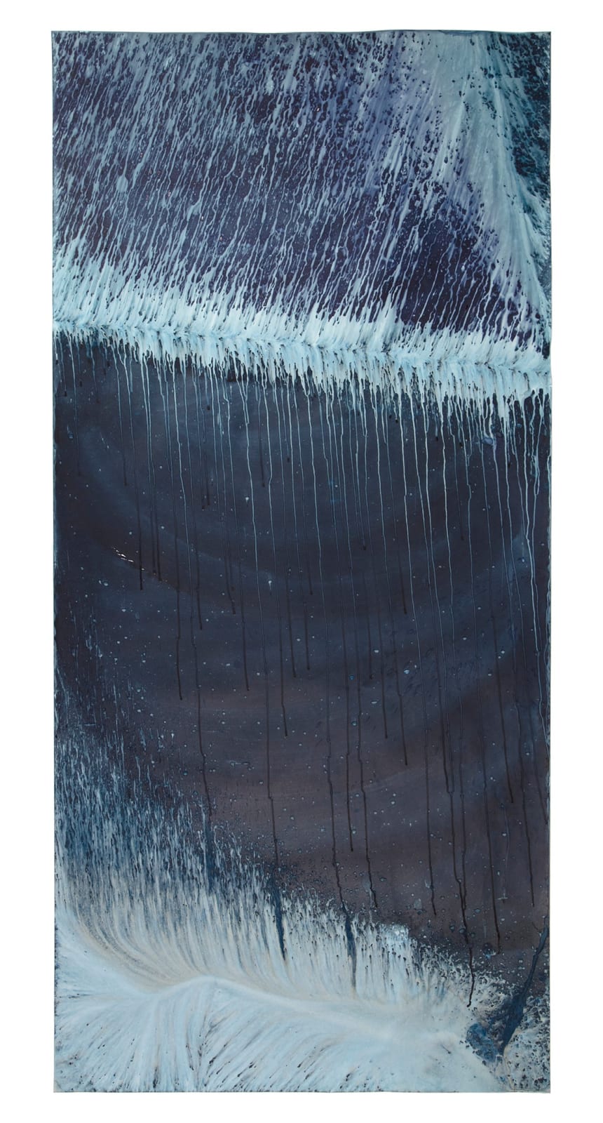 Meghann Riepenhoff, Ecotone #463 (Bainbridge Island, WA 08.23.18, Draped in Garden, Sunshower and Overspray from Hose) , 2018