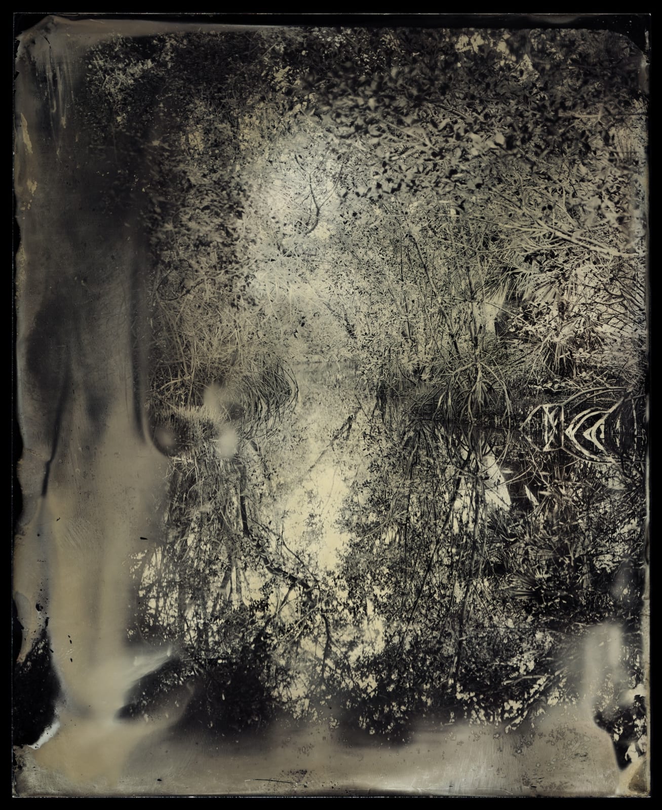 Charlie McCullers & Cecilia Montalvo, Barrier Island, Study 27, 2018