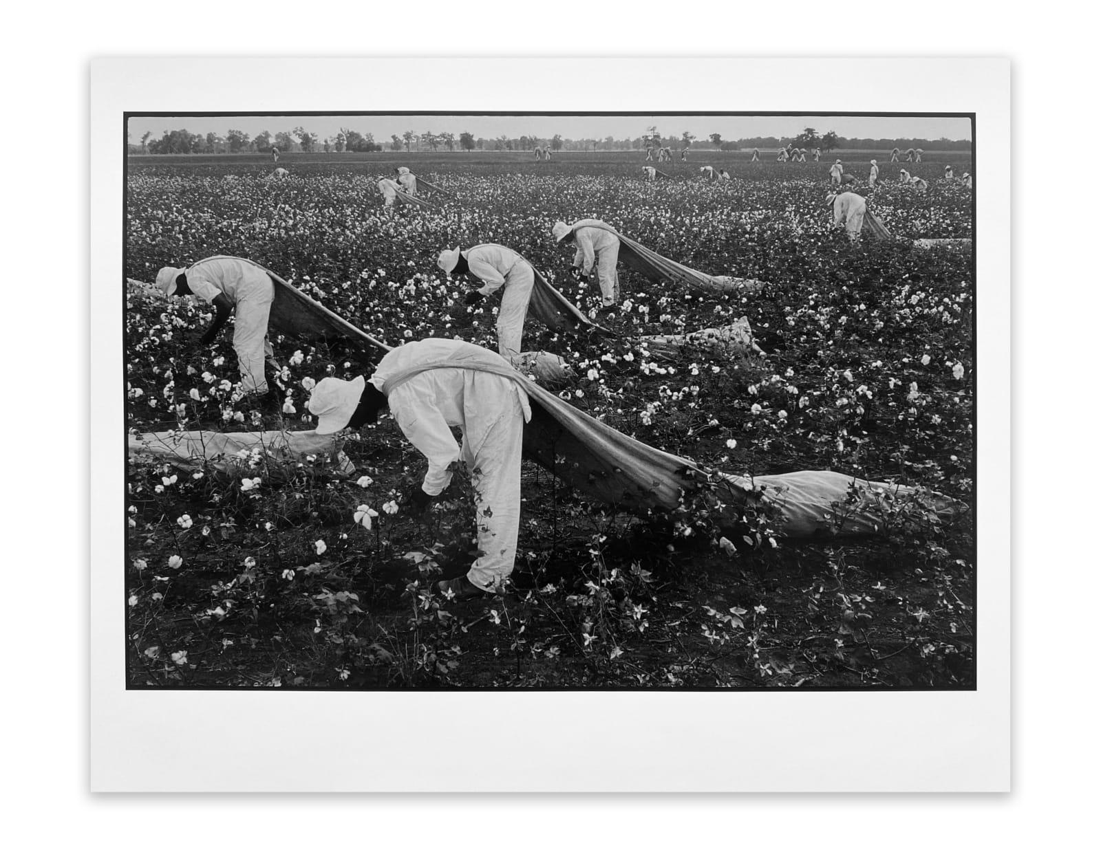Danny Lyon, The Cotton Pickers, Ferguson Unit, Texas, 1968